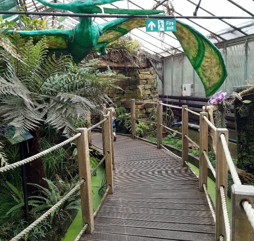 Manor Heath and Jungle Experience-哈里法克斯必去景点