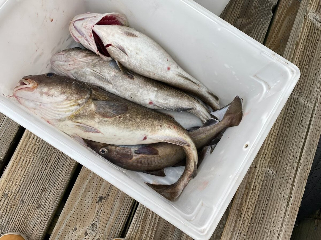 Baranof Fishing Excursions-凯奇坎必去景点