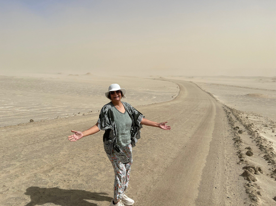 Paracas National Reserve-皮斯科必去景点