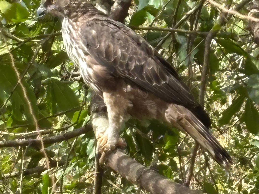 C-Lanka Tours & Travels-科伦坡必去景点