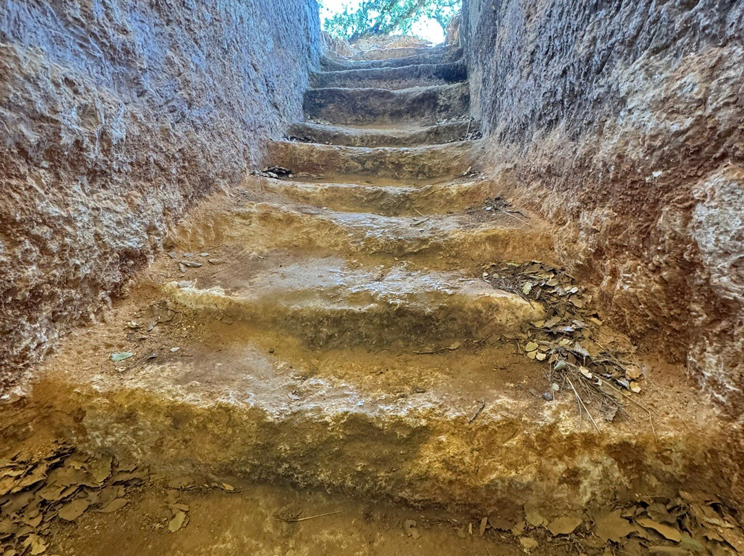 Late Minoan Tholos Tomb-Armeni必去景点