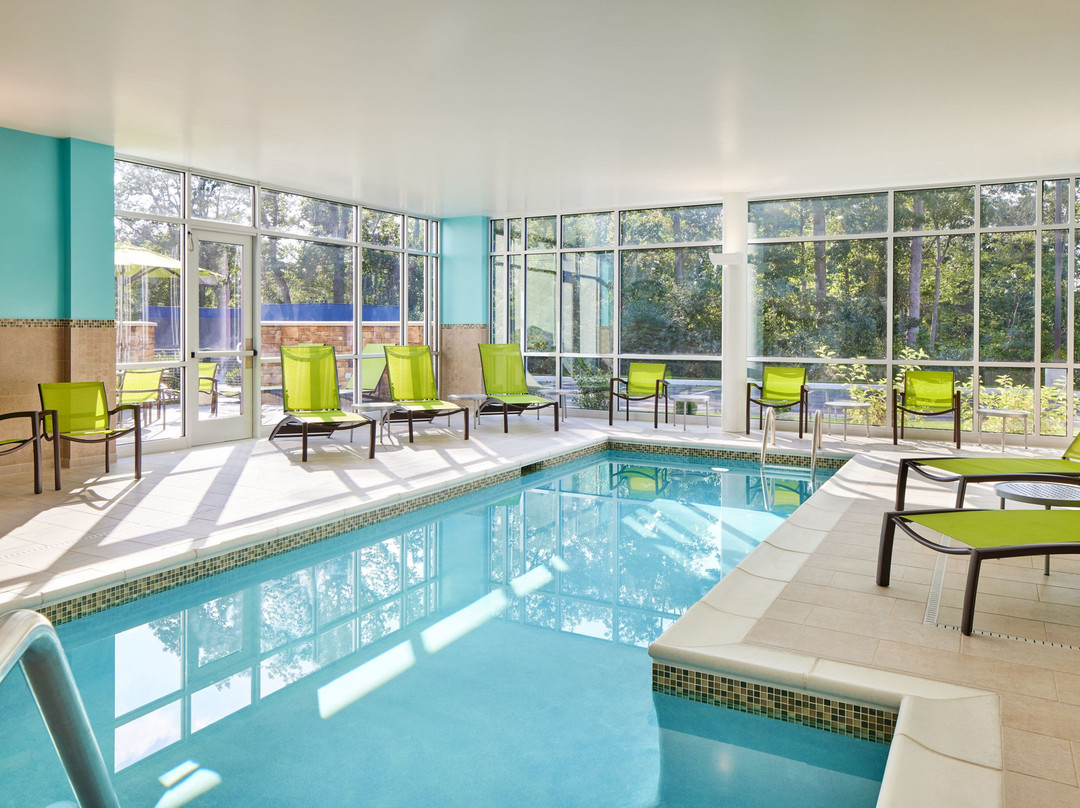 Milford酒店住宿-SpringHill Suites by Marriott Frederica