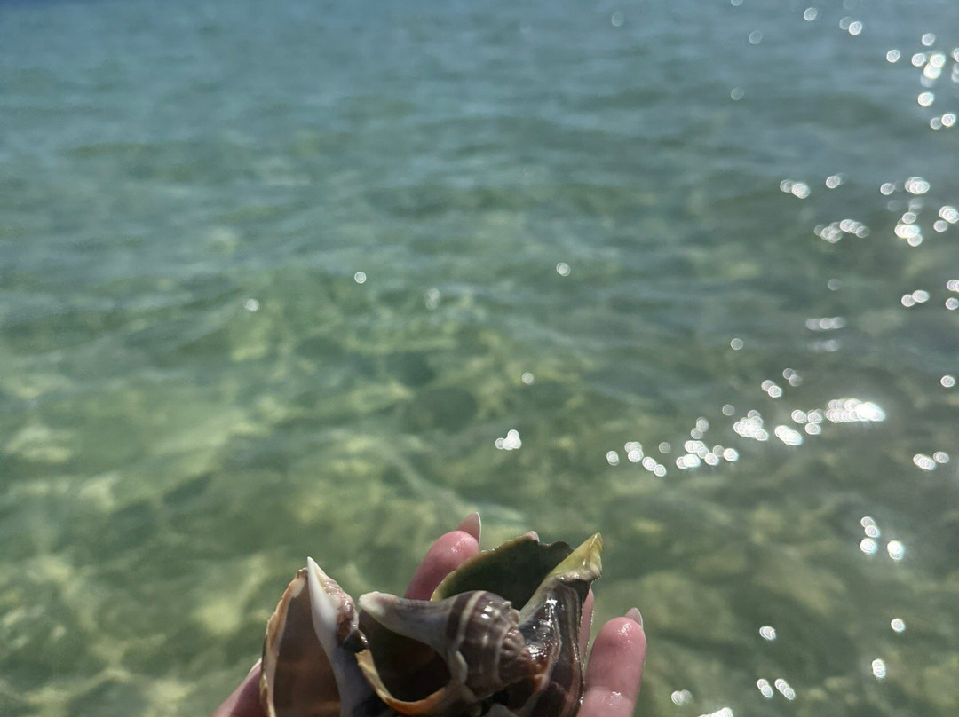 J Katt Boat Tours-Shalimar必去景点