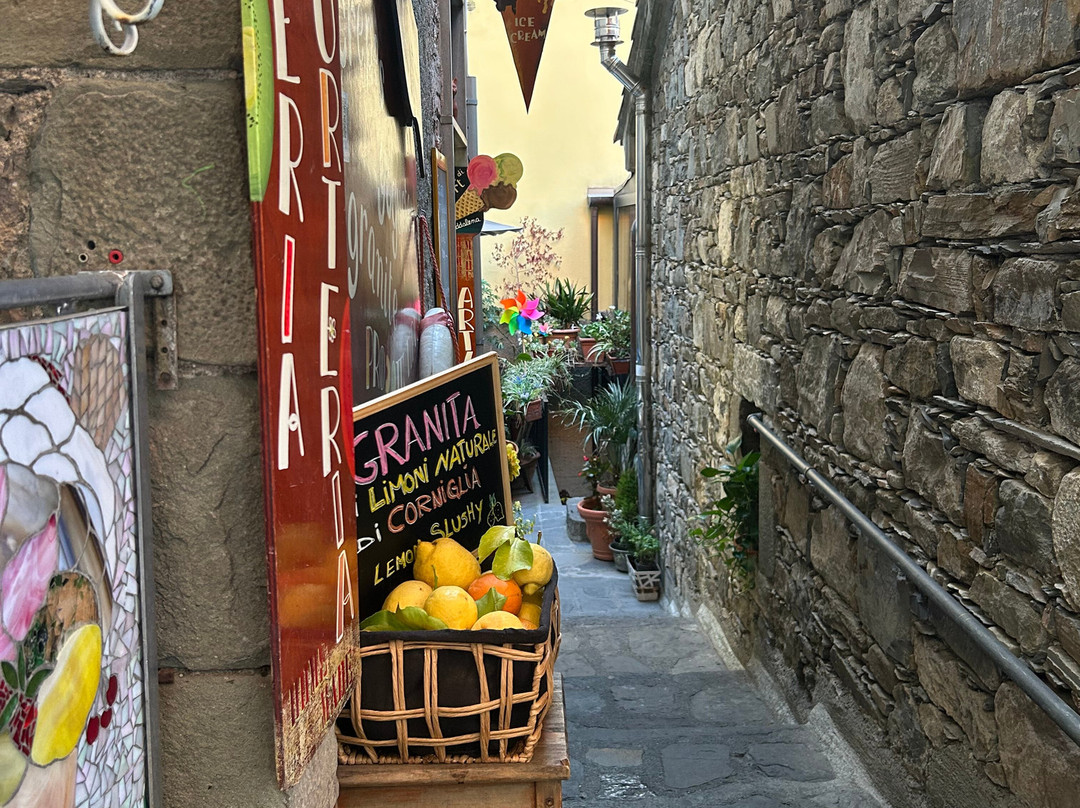 Sole Terra Mare主图