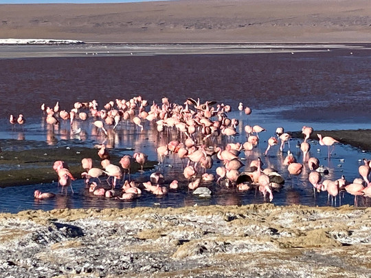 Expediciones Monte Blanco-乌尤尼必去景点