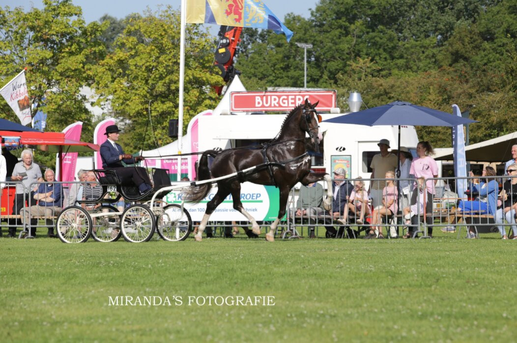Landbouwshow Opmeer-Hoogwoud必去景点
