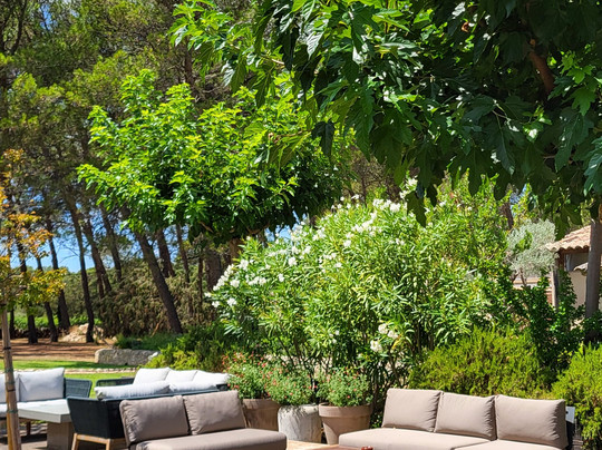 Domaine de la Pierre Blanche主图