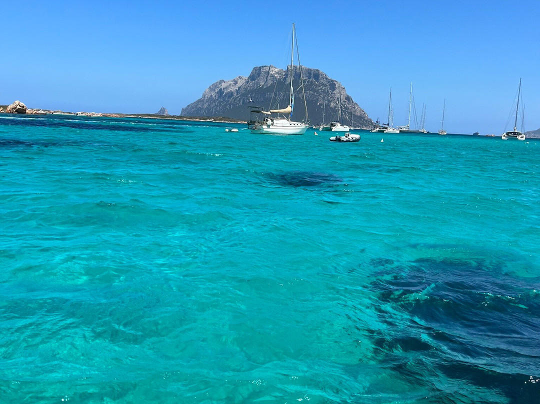 Sailing San Paolo-奥尔比亚必去景点