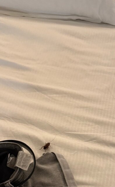 H10 Ocean Dreams - Adults Only主图