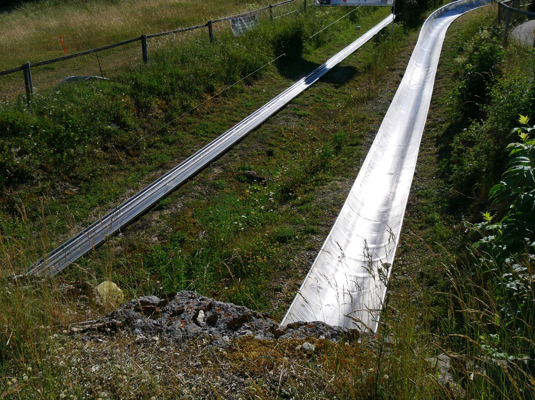 Toboggan-La Vue des Alpes必去景点