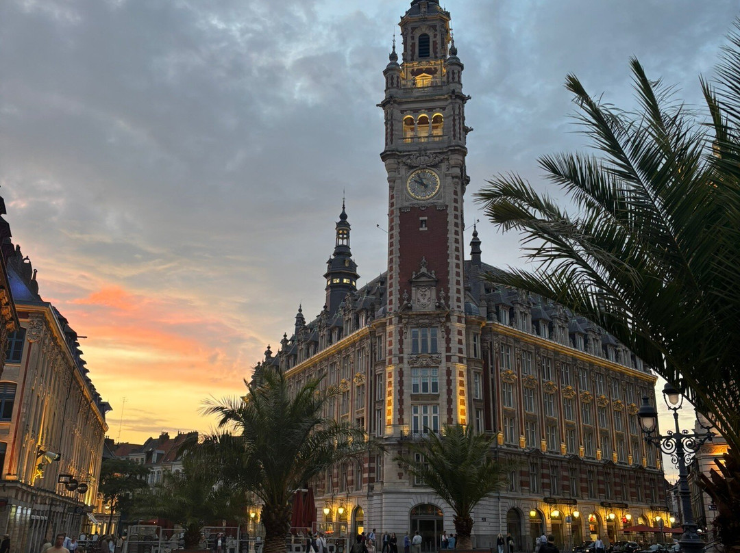 布鲁塞尔大广场-里尔必去景点