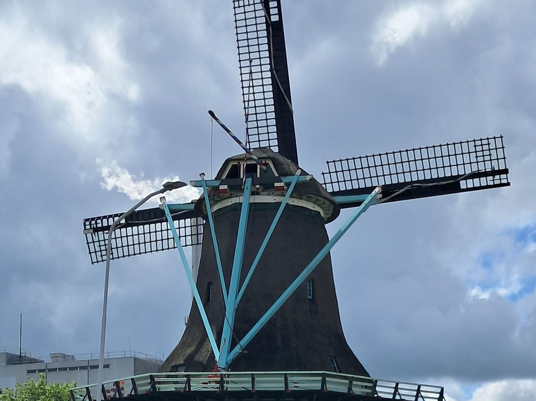 De Bleeke Dood Molen-赞代克必去景点