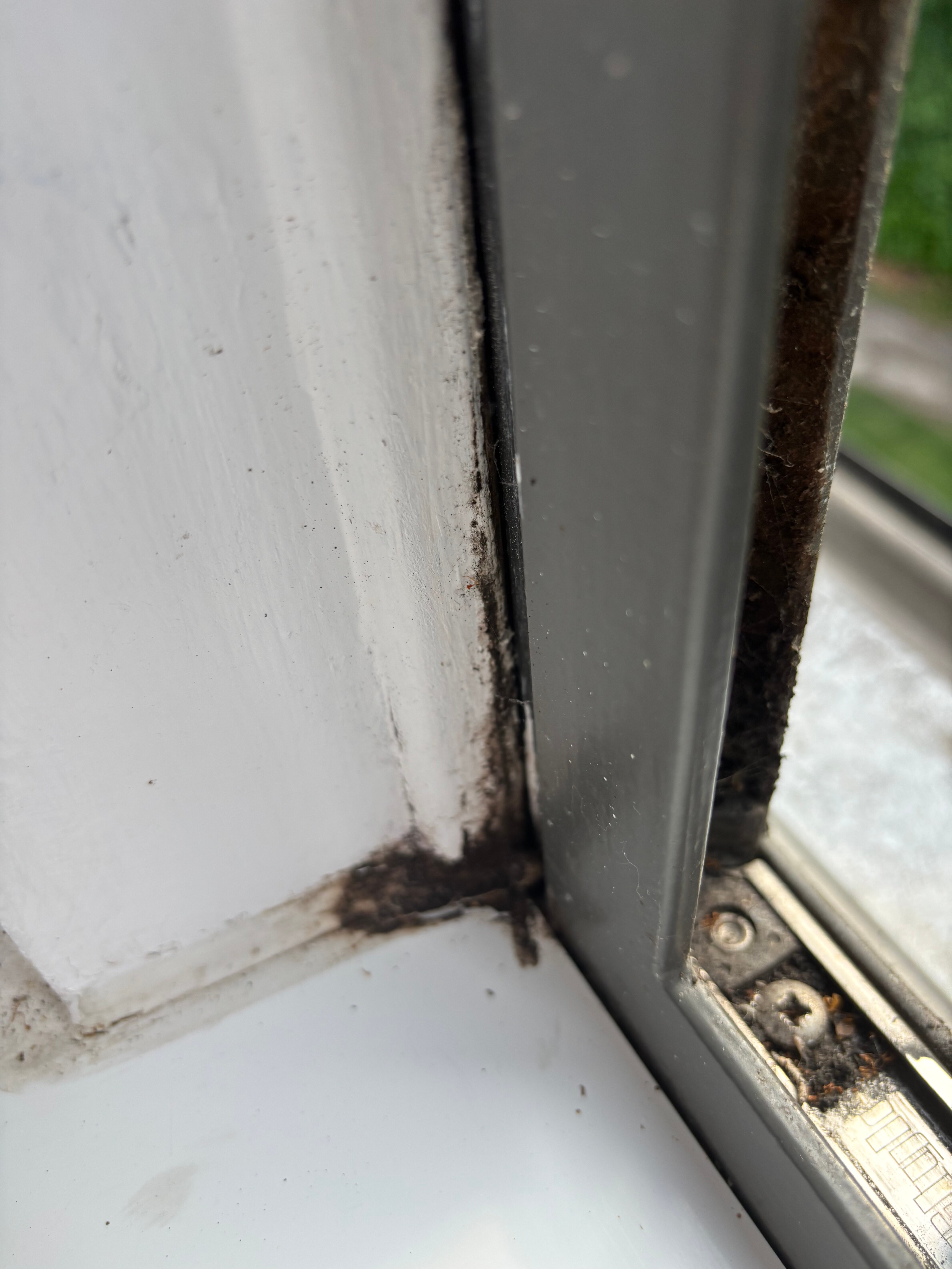 Warner Hotels - Thoresby Hall Hotel-客卧