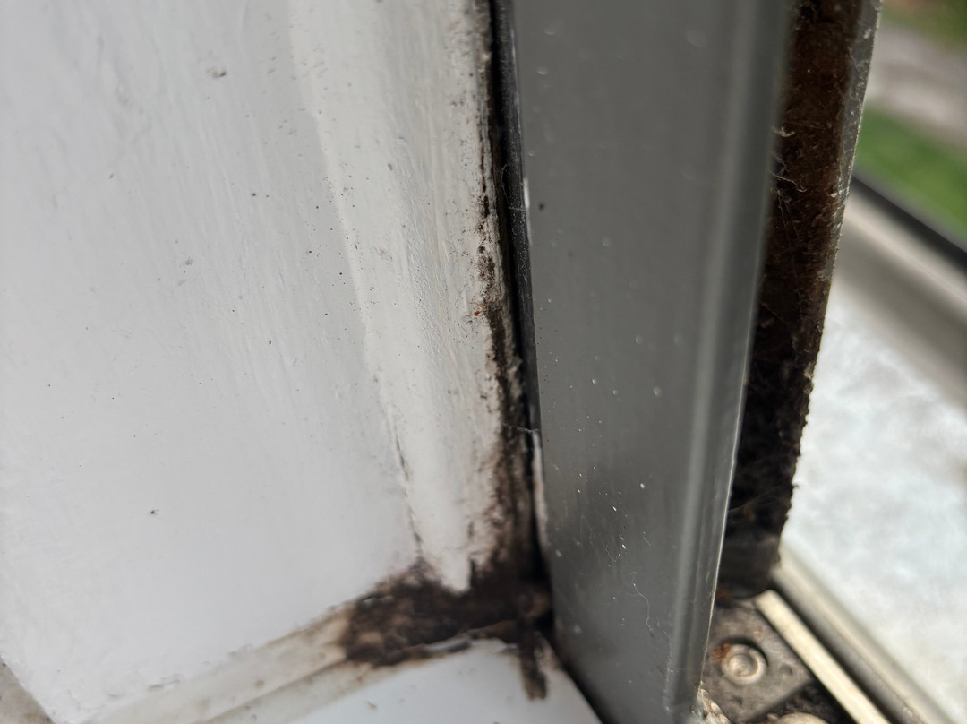 Warner Hotels - Thoresby Hall Hotel主图