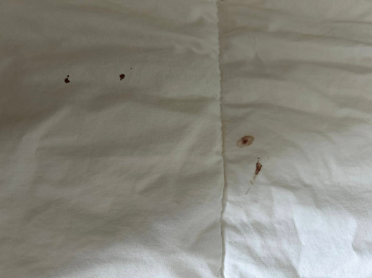 Quality Inn Seymour I-65主图