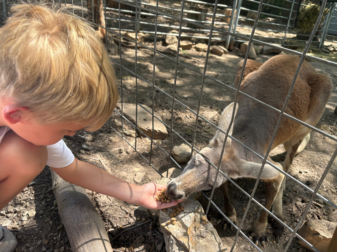 Branson's Promised Land Zoo-布兰森必去景点