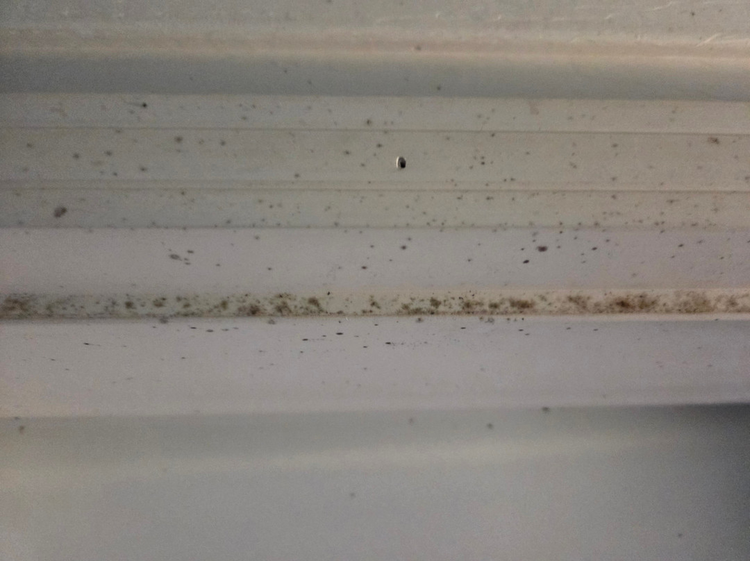 Coach House Inn主图