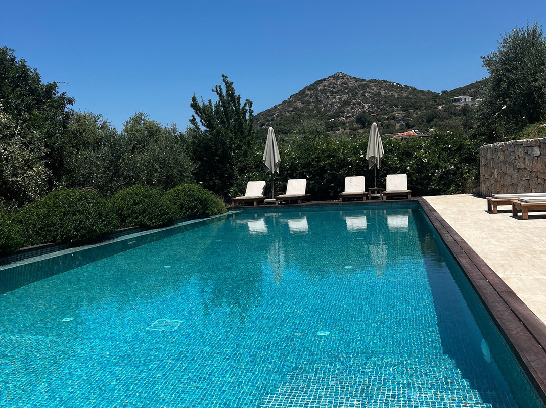 Bademli Bahçe Otel主图