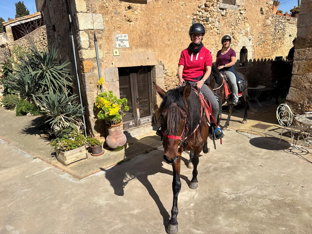 Panorama Trails-Terradelles必去景点