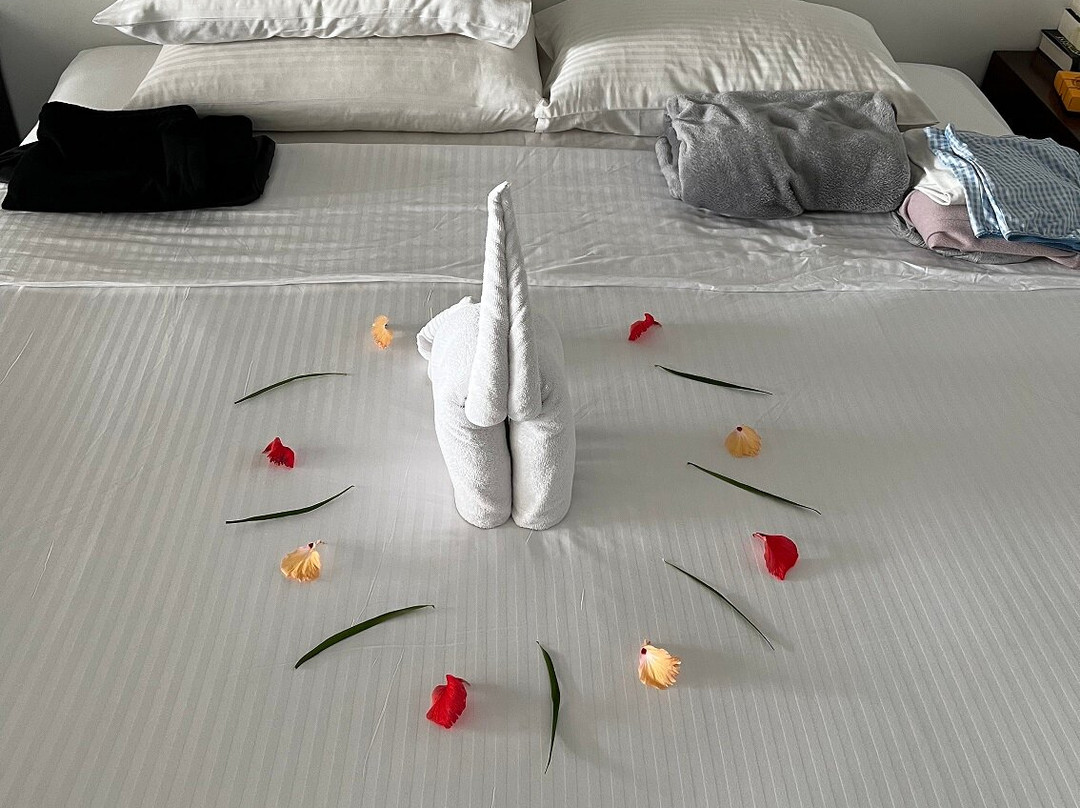 查瓦特兰海克杜瓦酒店主图