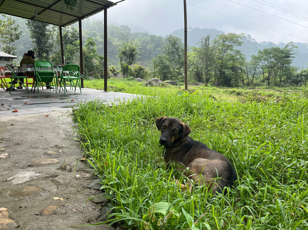 Yoga Chaitanya International Institute-Ranibagh必去景点