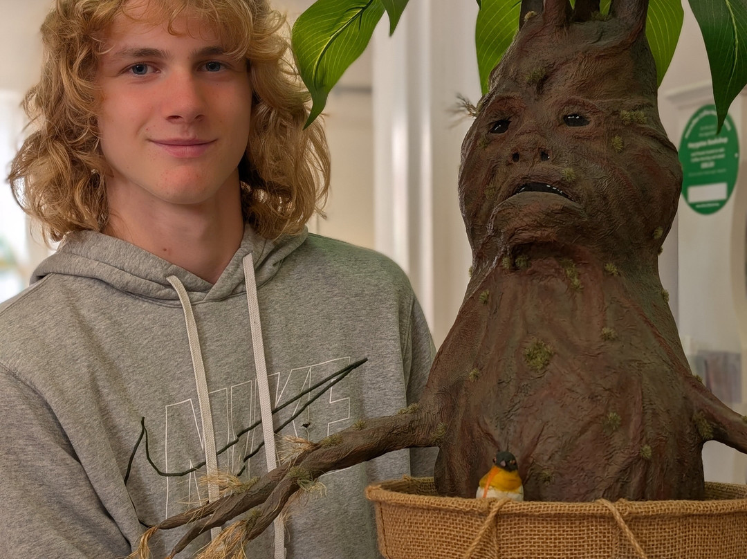 Heygates Bookshop-博格诺里吉斯必去景点