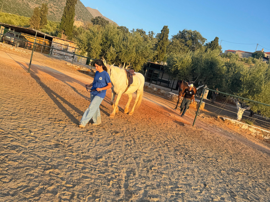 Mani Horses-East Mani必去景点