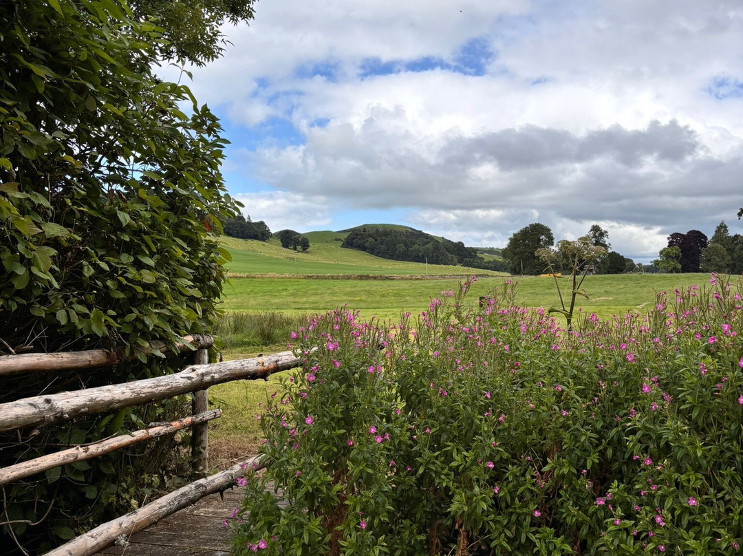 Loughcrew Estate-Oldcastle必去景点