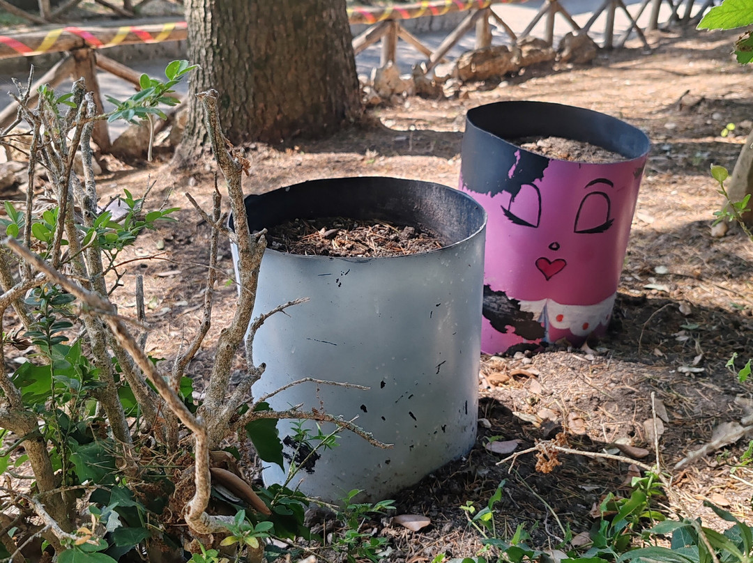 Palazzo Comunale di Tolfa-Tolfa必去景点