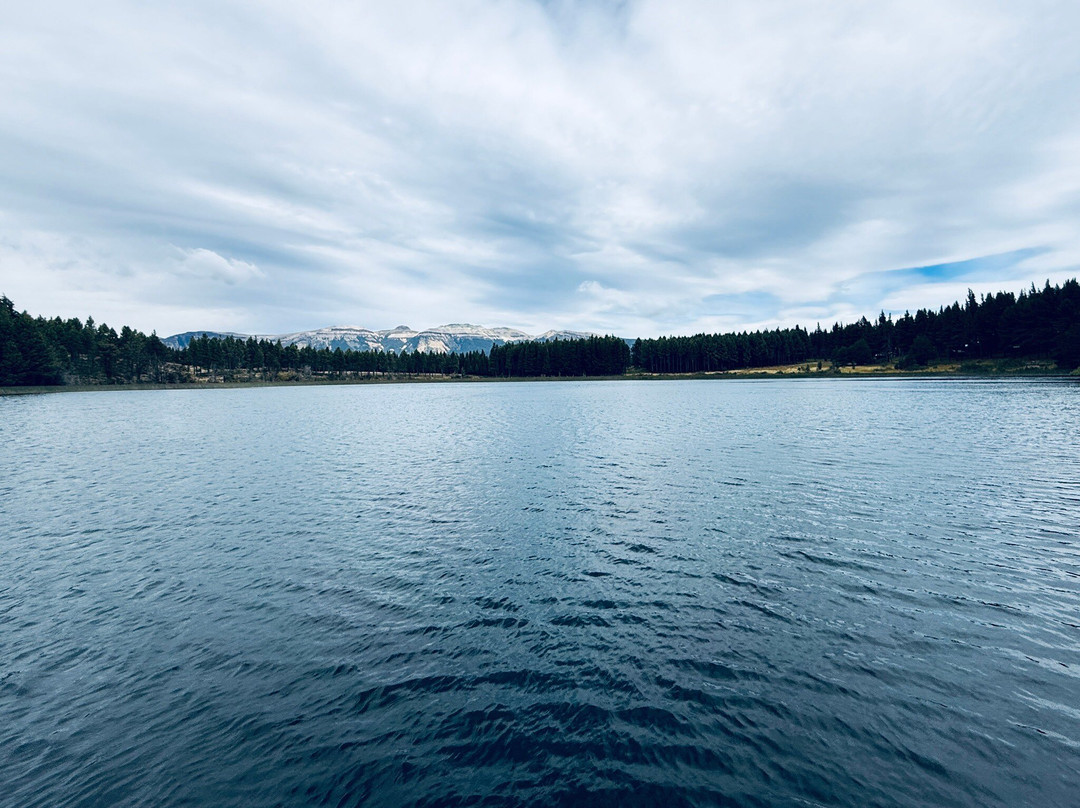 Coyhaique National Reserve-Coyhaique必去景点