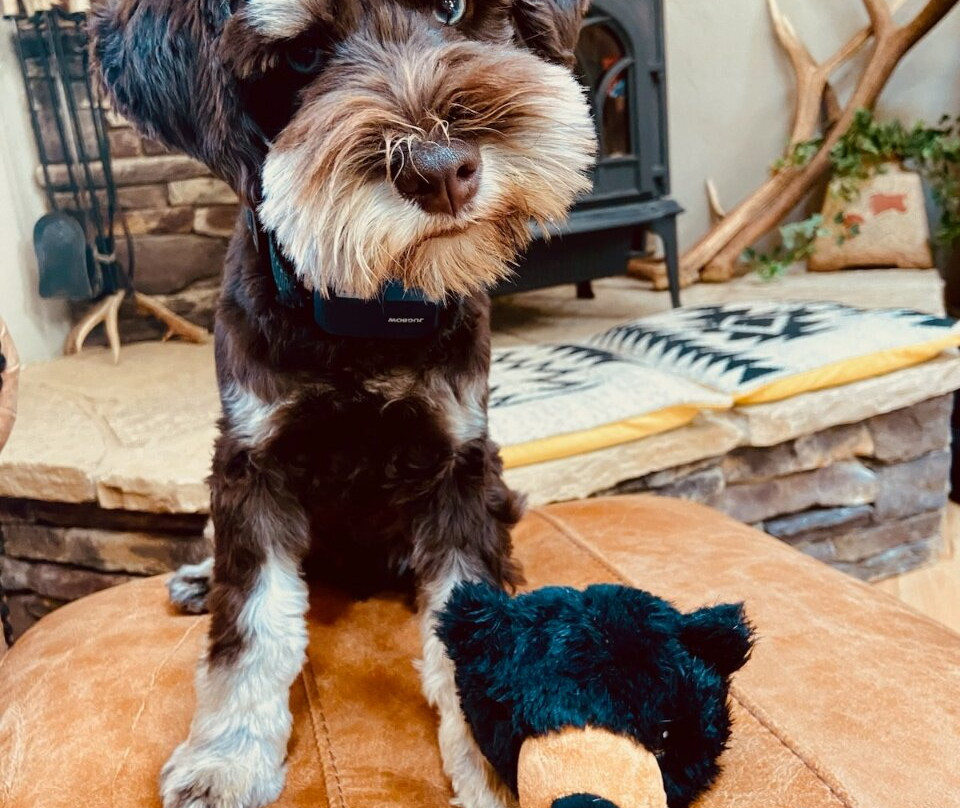 Brownfield's-埃斯蒂斯公园必去景点