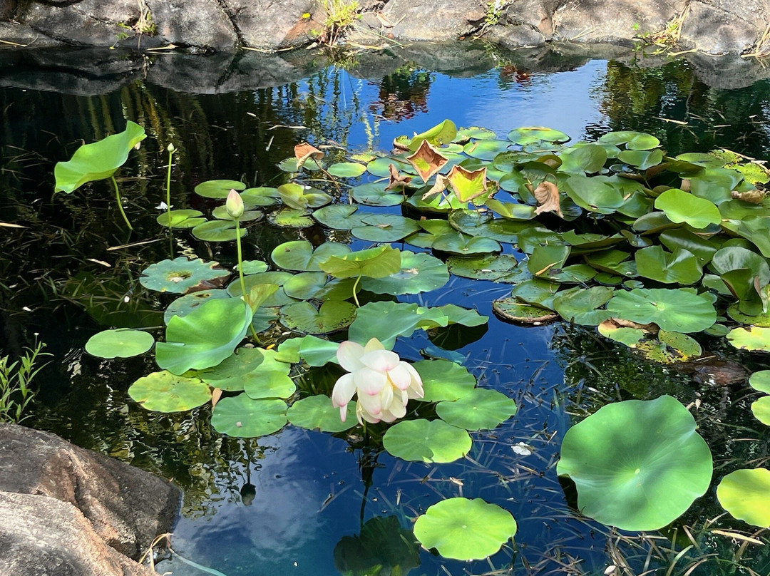 Kauai Mini Golf & Botanical Gardens-基拉韦厄必去景点