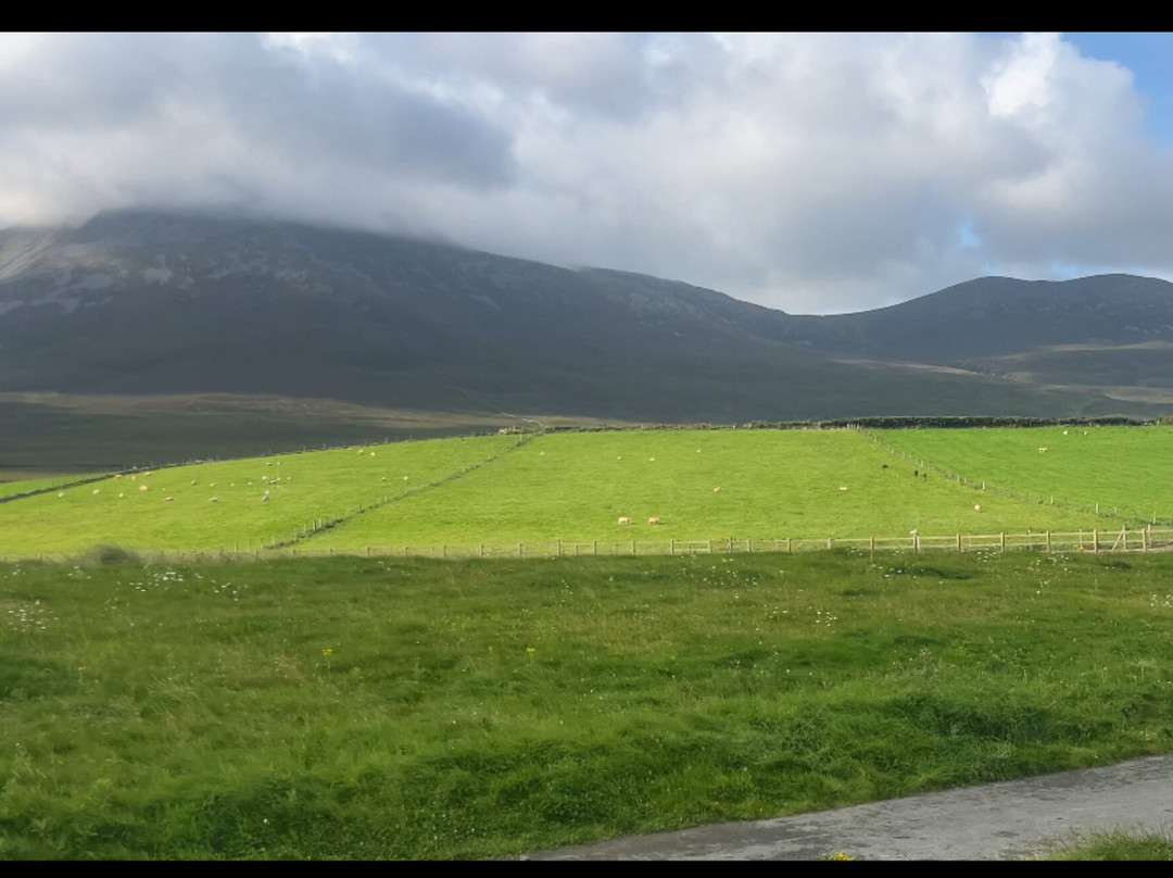 Bertra House B&B主图