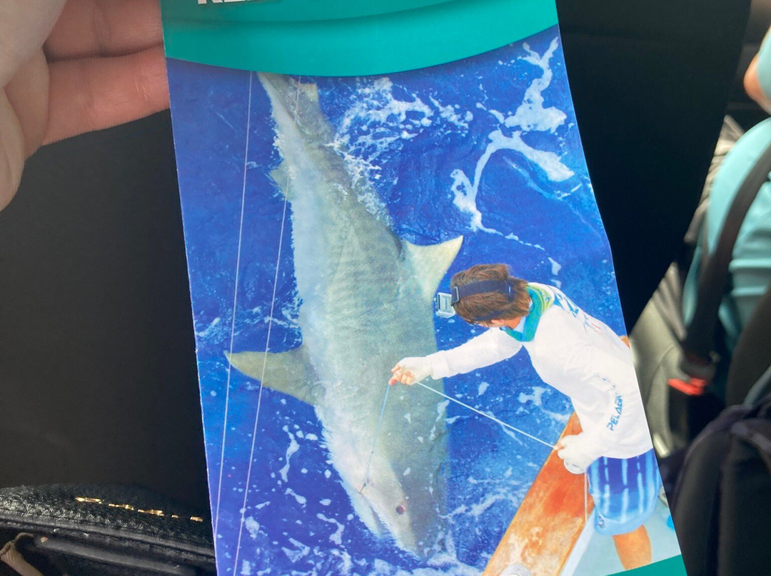 Algarve Seafaris-维拉摩拉必去景点