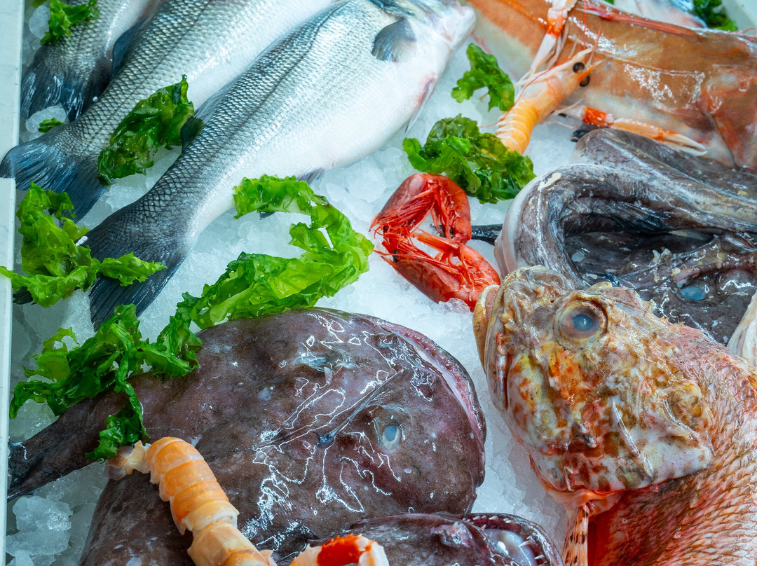 Fish Bar Bluvivo