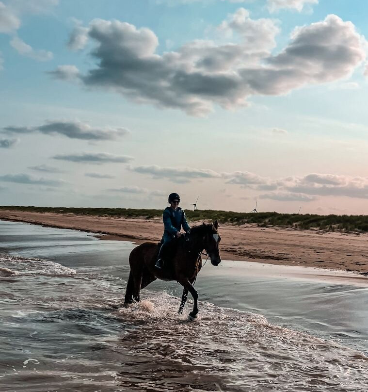 Shrule Equestrian Centre-Gorey必去景点