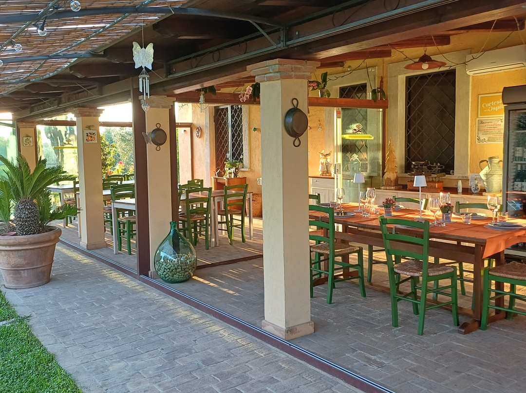 Agriturismo Casa Degli Ulivi主图