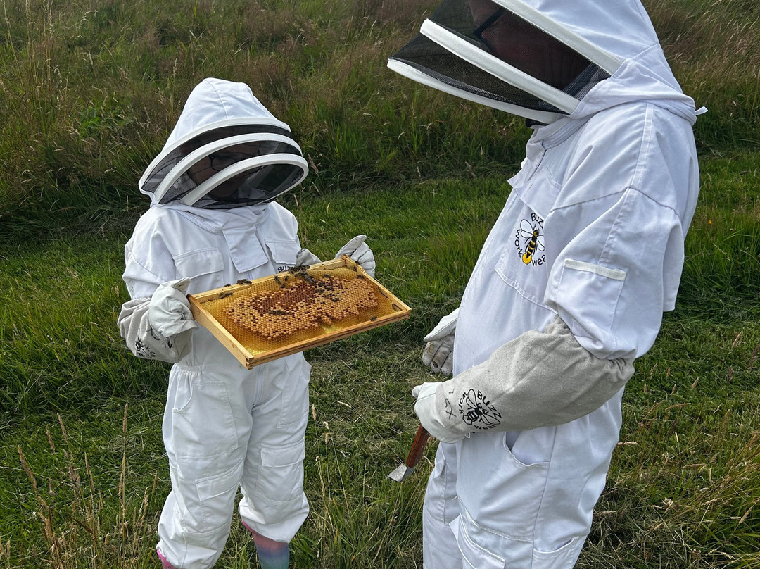 Main's Apiaries-丹弗姆林必去景点