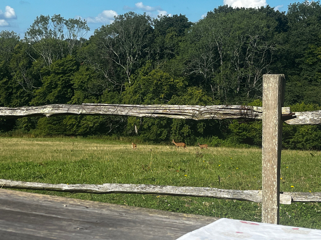 Moaps Farm Bed and Breakfast主图