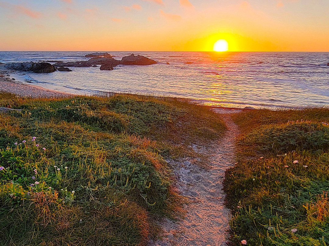 太平洋丛林日落酒店主图