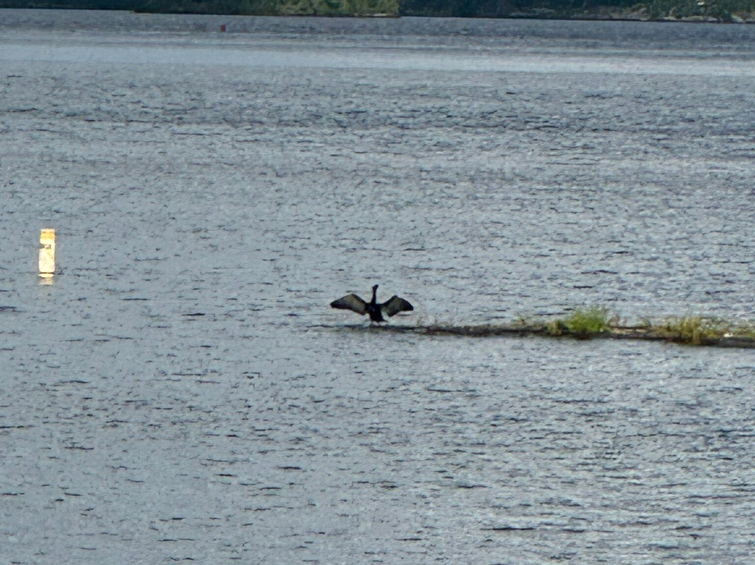 Voyageur Tour Boat Grand Tour-International Falls必去景点