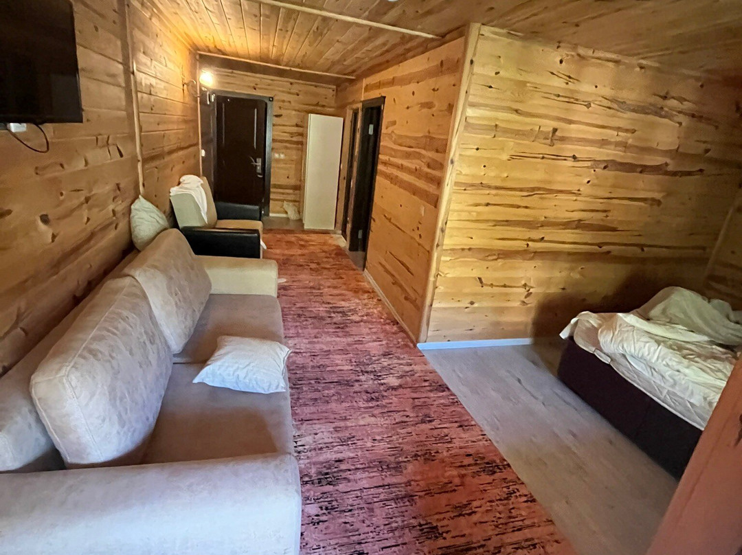 Yedigoller Hotel主图