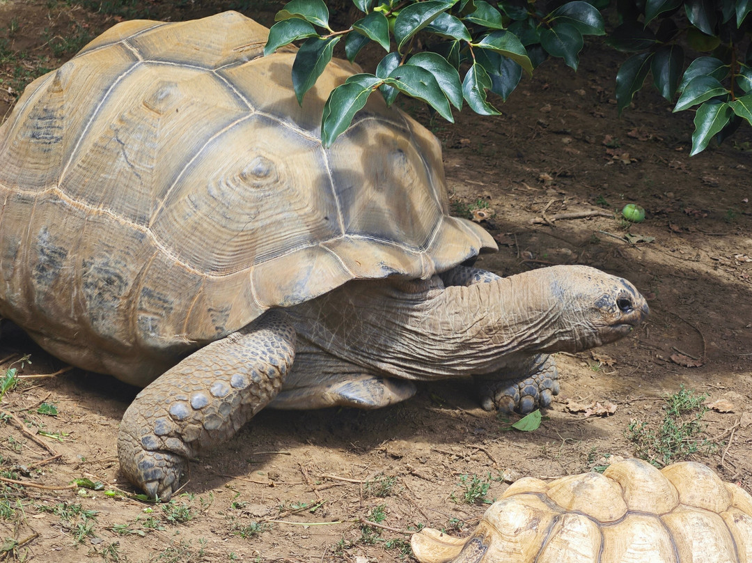 Ferme des Reptiles-La-Bastide-de-Serou必去景点