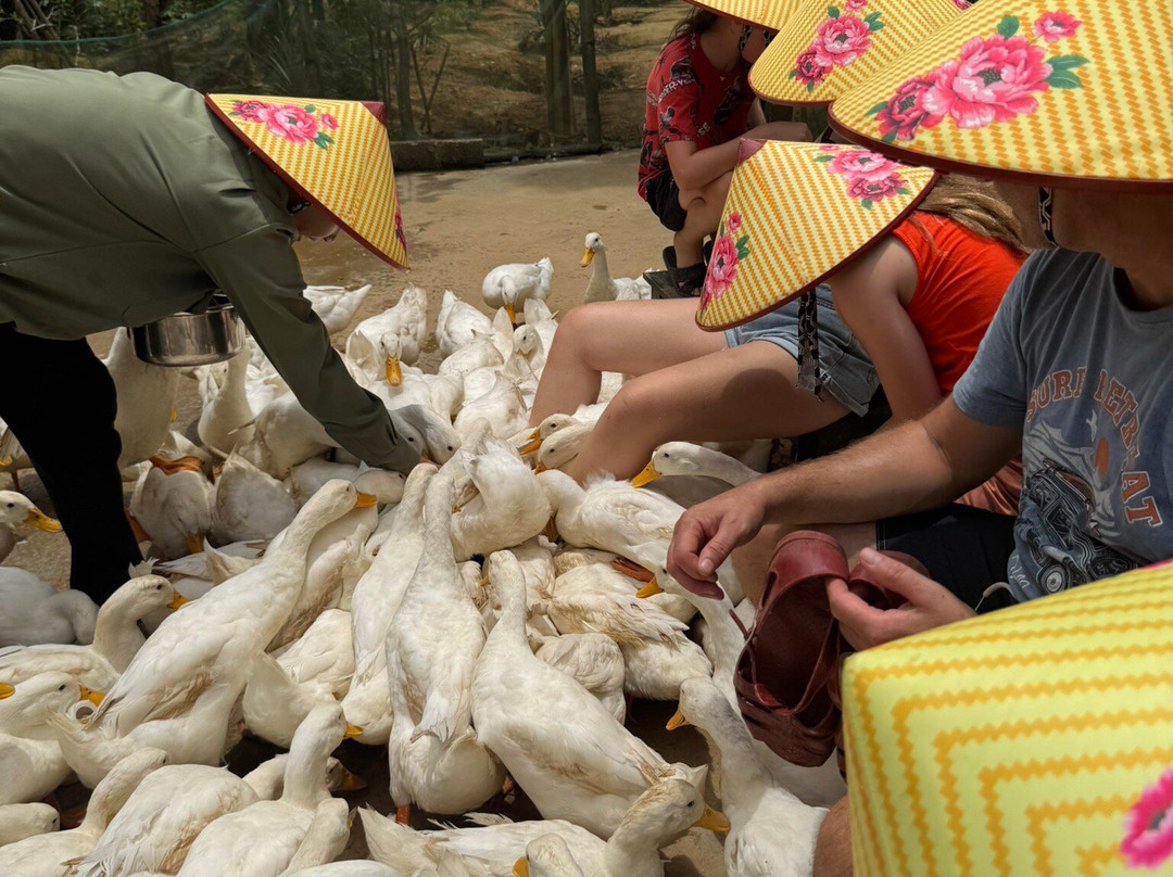 Tang's Farm Quang Binh-Hung Trach必去景点