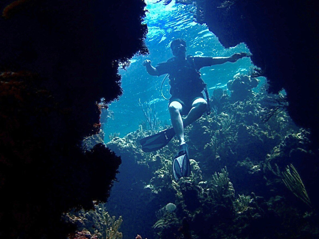 Valentine's Dive Center-哈勃岛必去景点