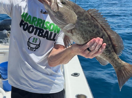 Siesta Key Fishing Charters-西耶斯塔岛必去景点