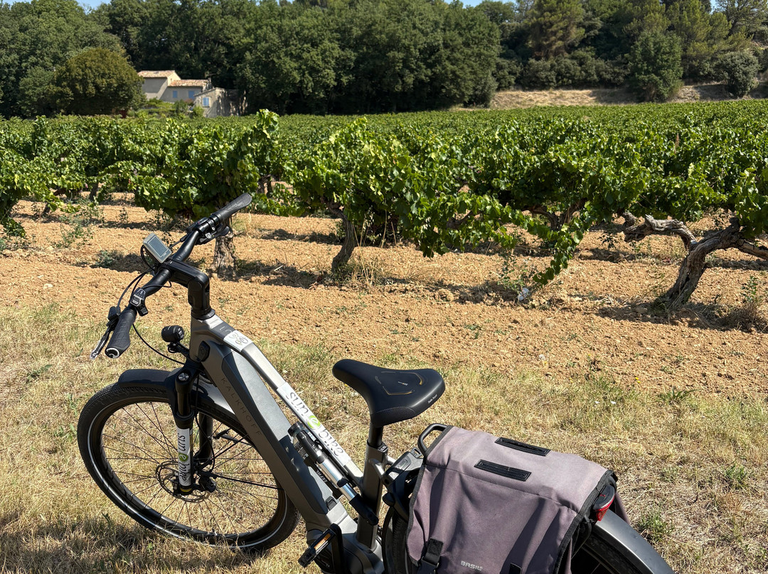 Sun-E-Bike-韦松拉罗迈纳必去景点