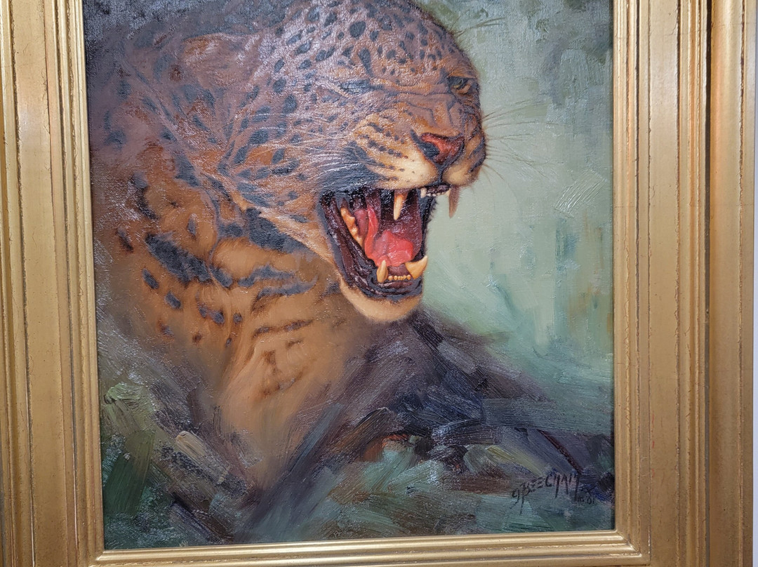 Bear-Ology-Plymouth必去景点