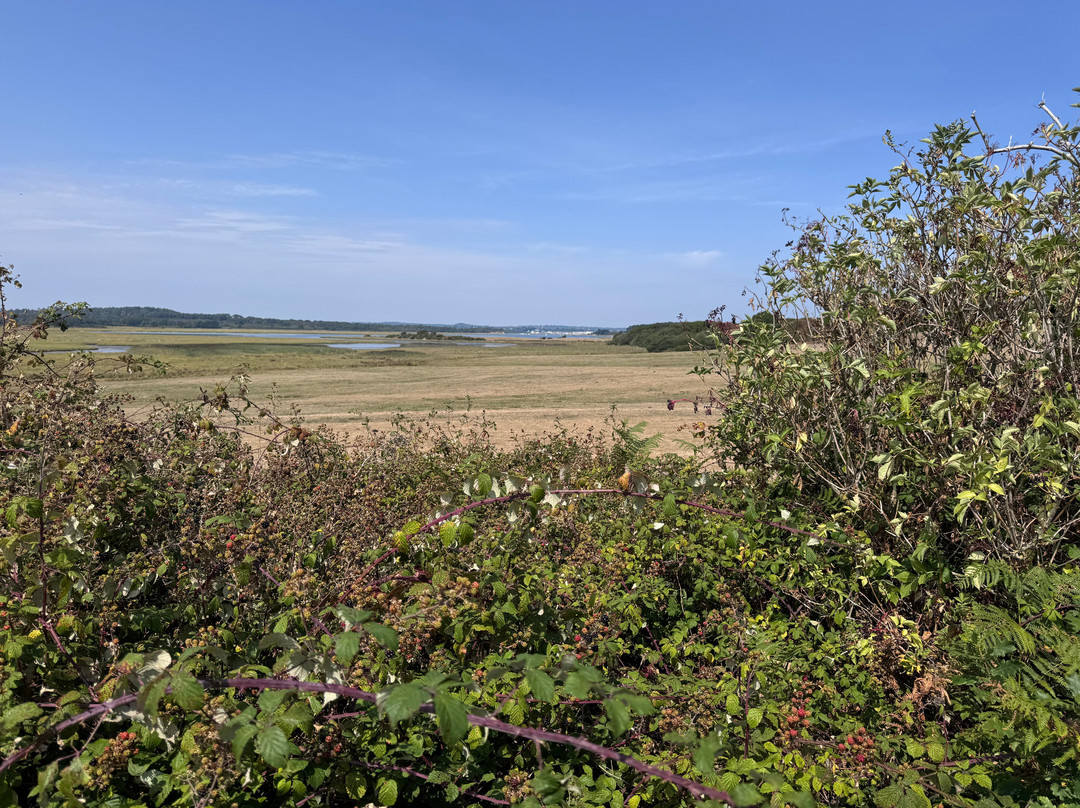 Purbeck Safari-韦勒姆必去景点