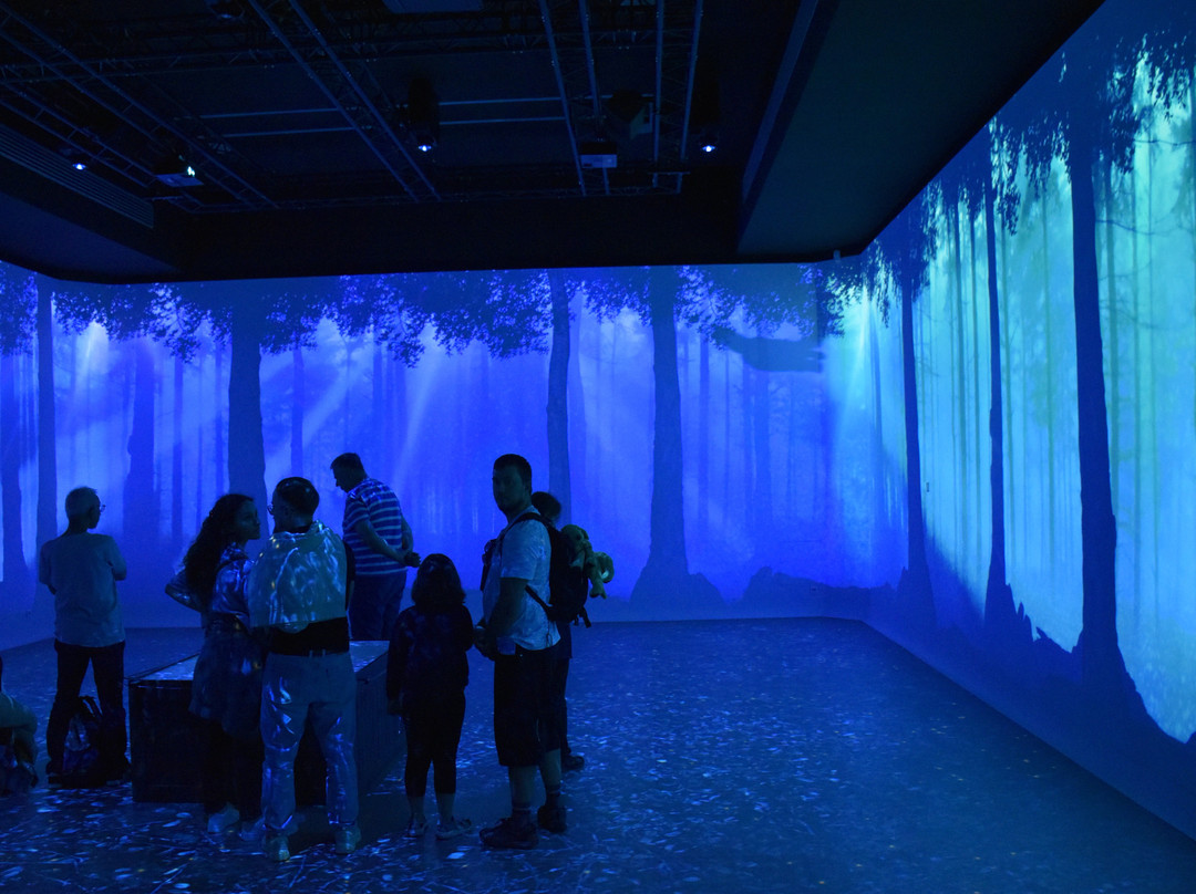 Hôtel Des Lumières-勒皮必去景点